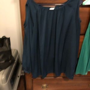 Cabi fetching blouse sz L